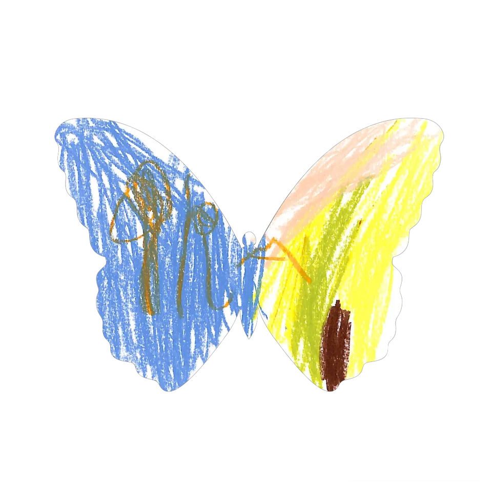 Original Butterfly Image