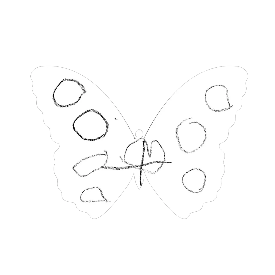 Original Butterfly Image