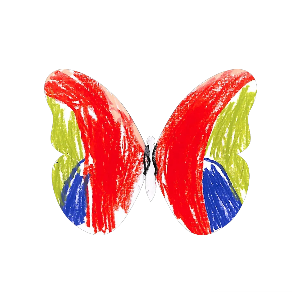 Original Butterfly Image