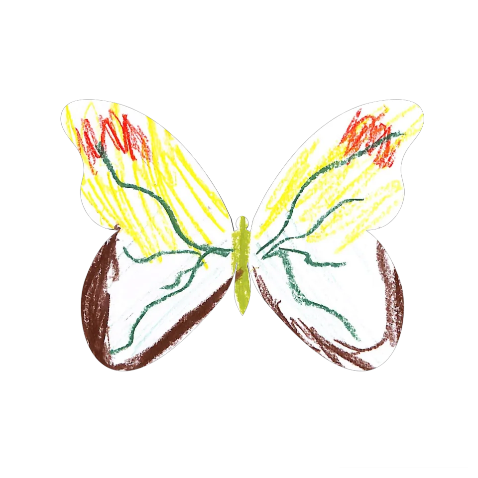 Original Butterfly Image