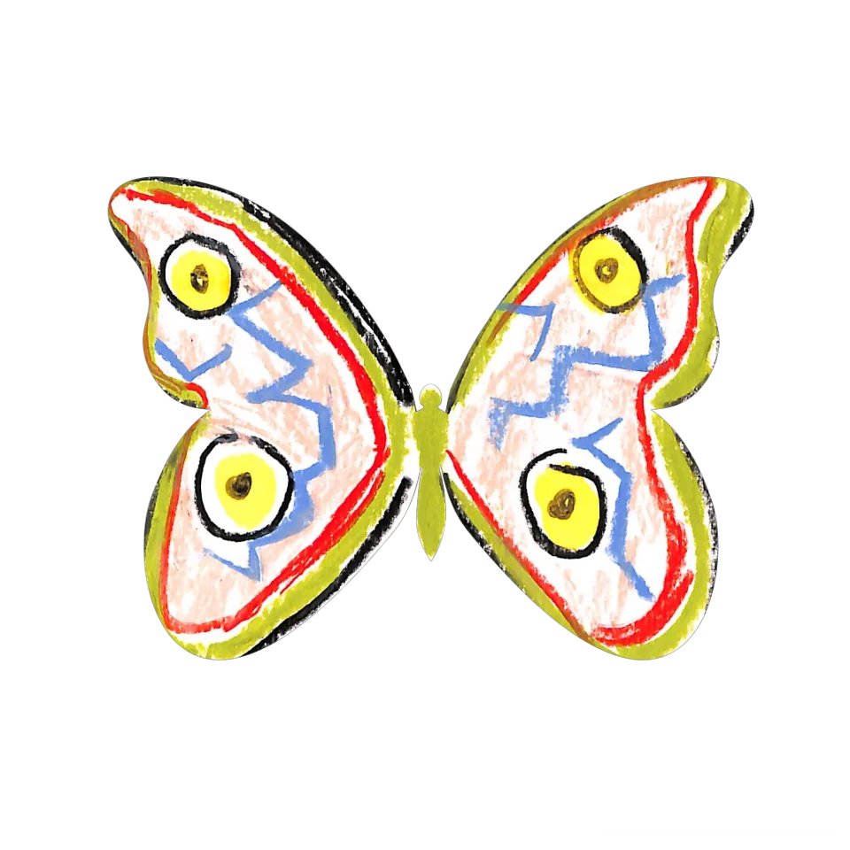 Original Butterfly Image