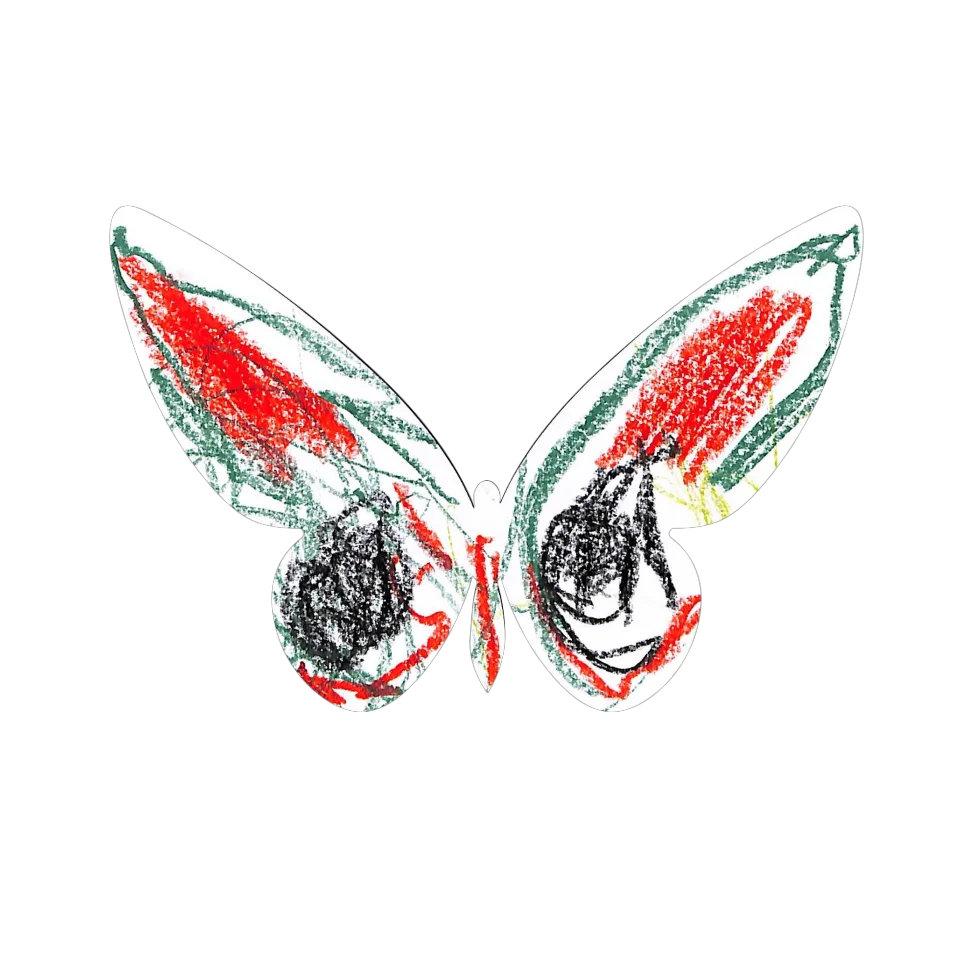 Original Butterfly Image
