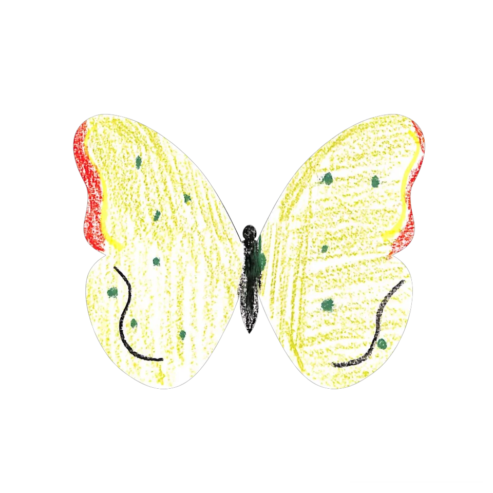 Original Butterfly Image
