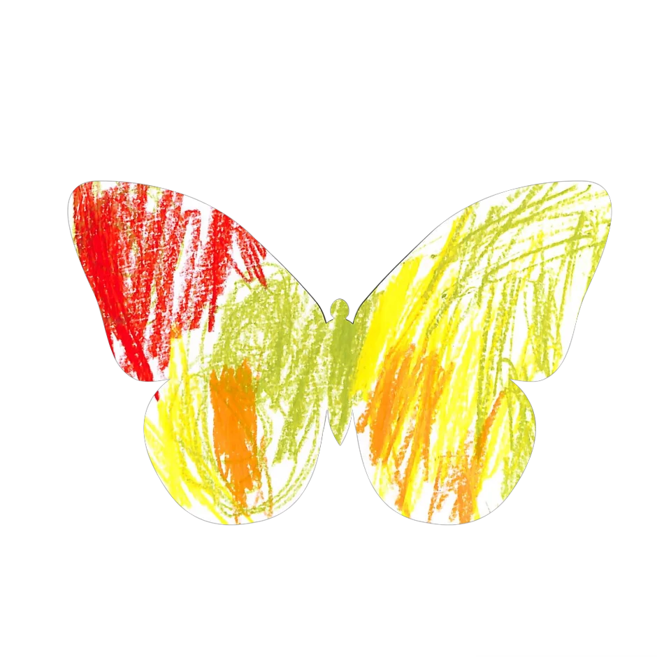 Original Butterfly Image