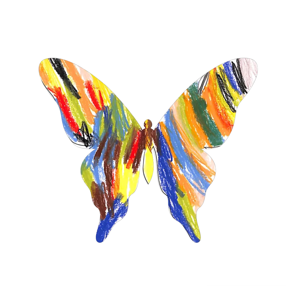 Original Butterfly Image