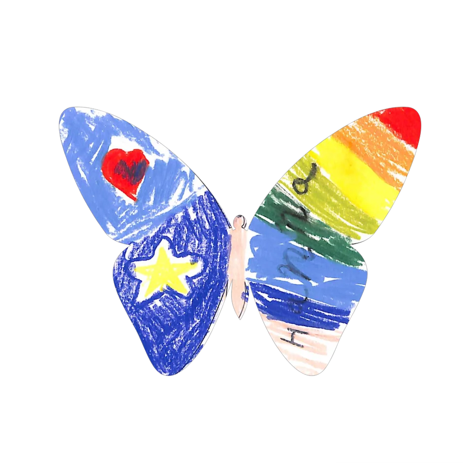 Original Butterfly Image