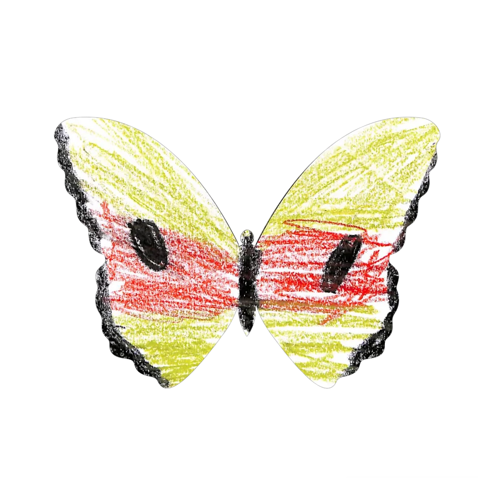 Original Butterfly Image