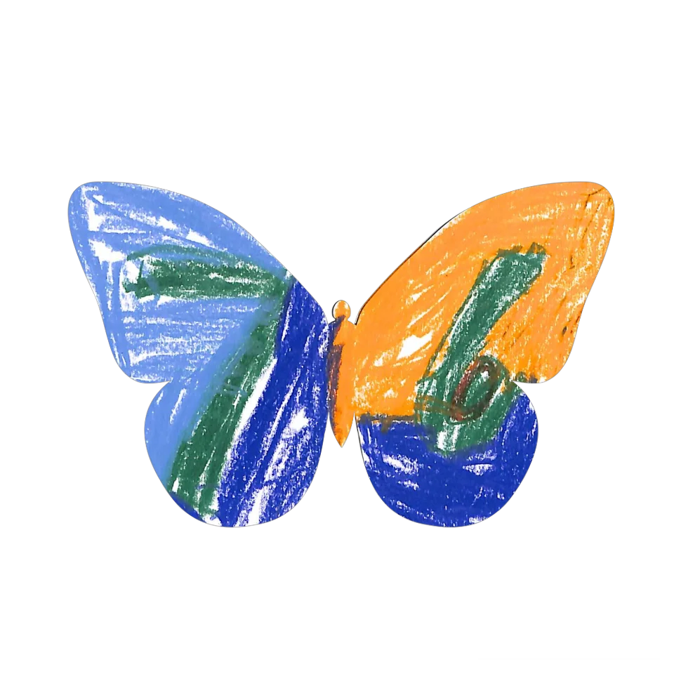 Original Butterfly Image