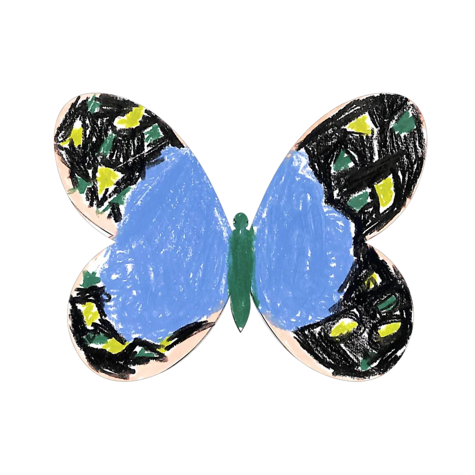 Original Butterfly Image