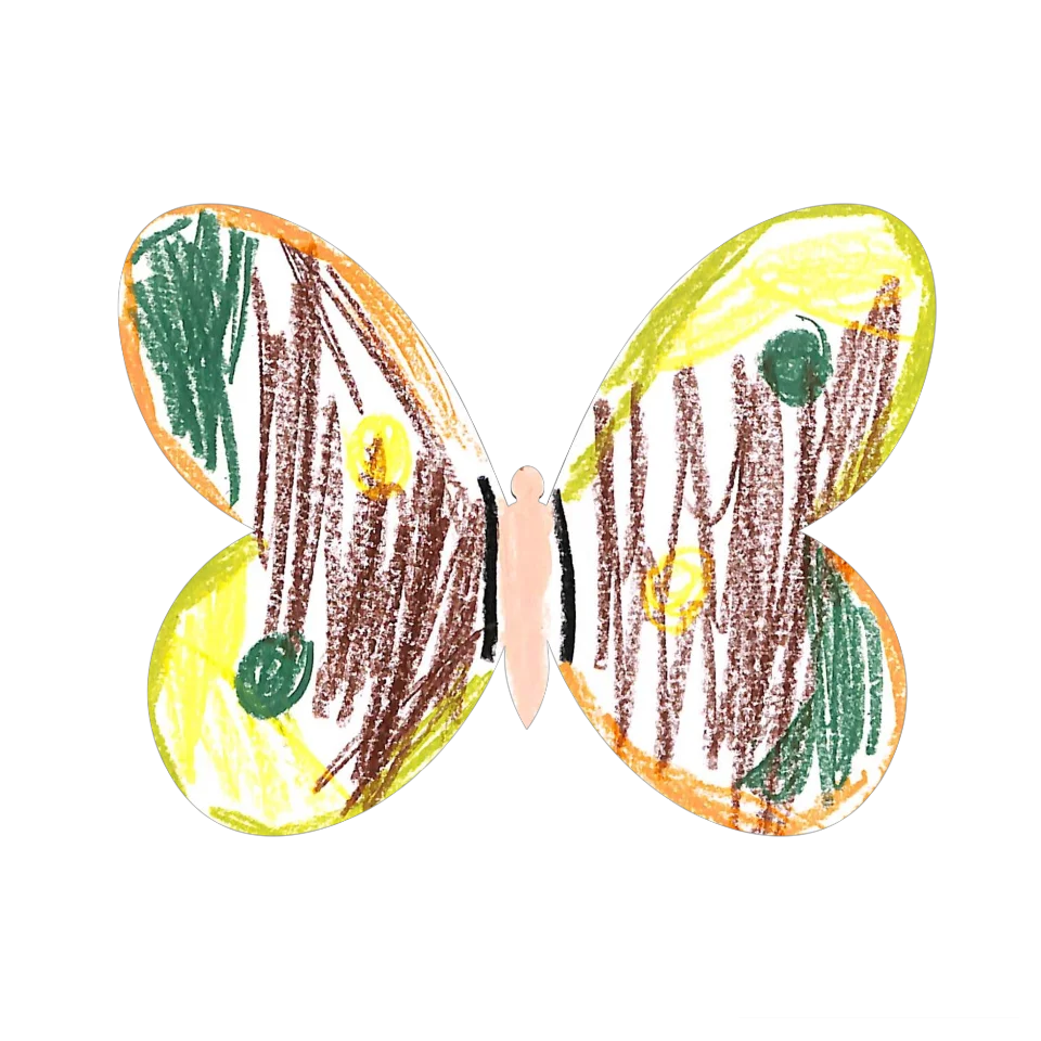 Original Butterfly Image