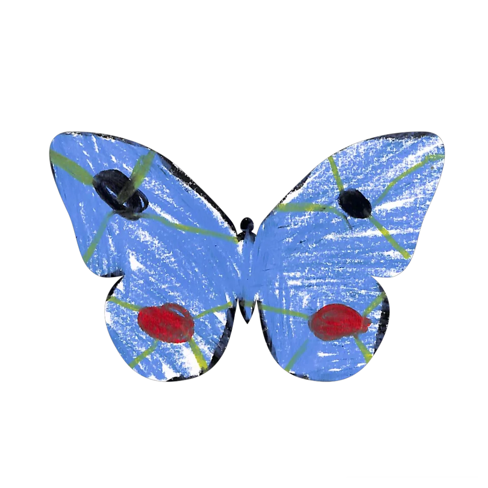 Original Butterfly Image