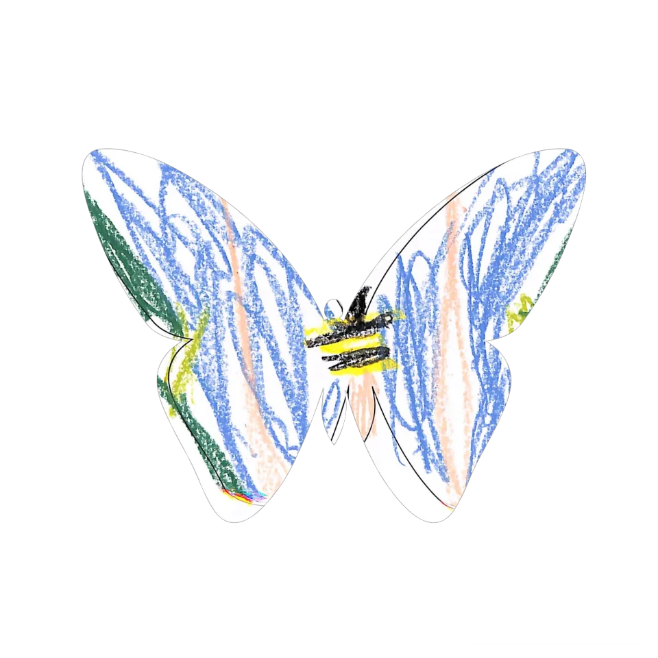 Original Butterfly Image