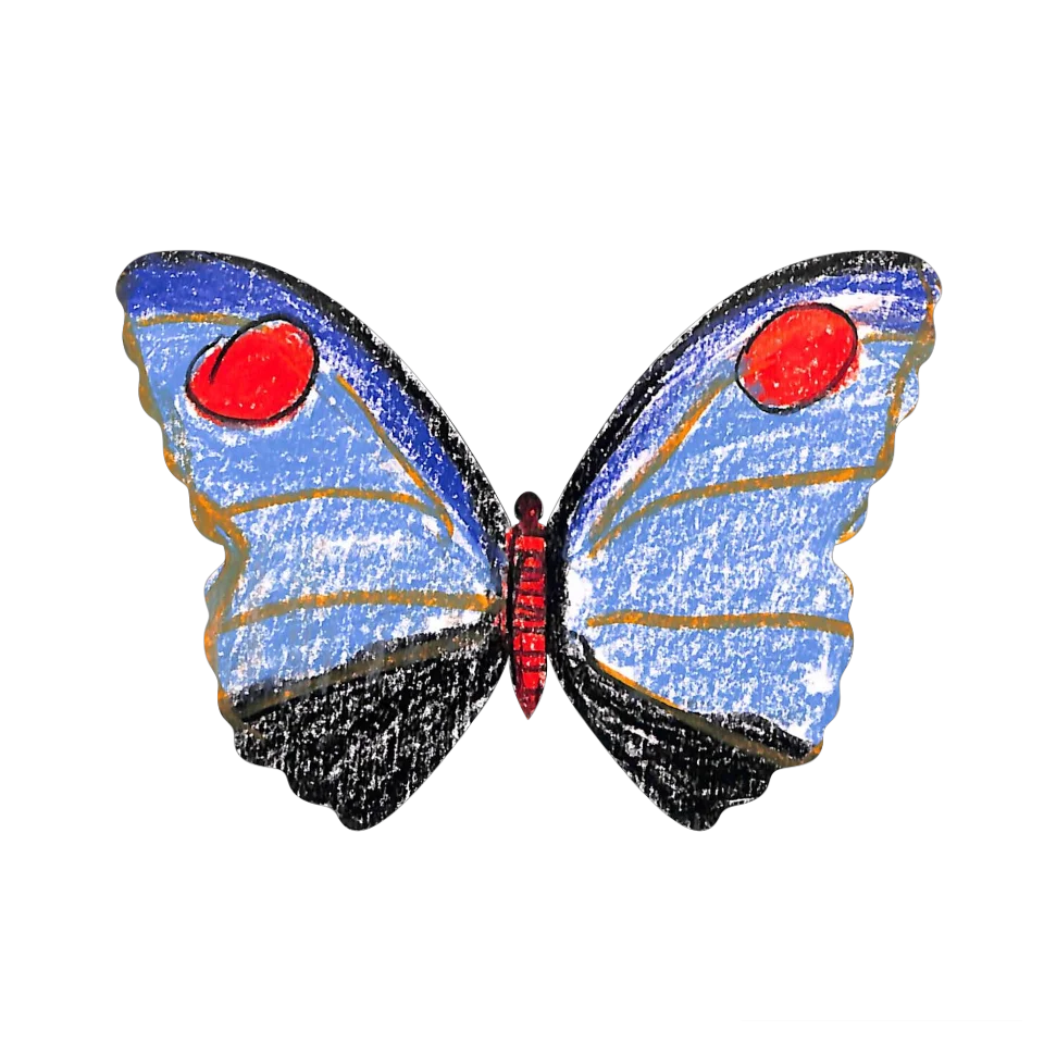 Original Butterfly Image
