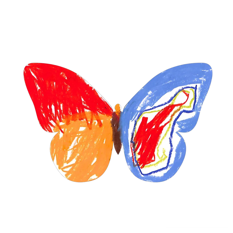 Original Butterfly Image