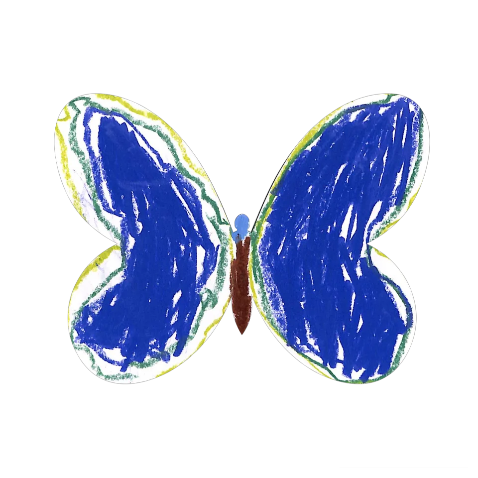 Original Butterfly Image