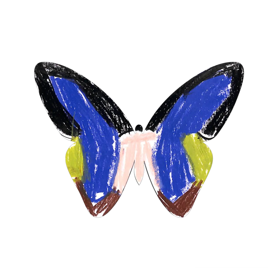 Original Butterfly Image