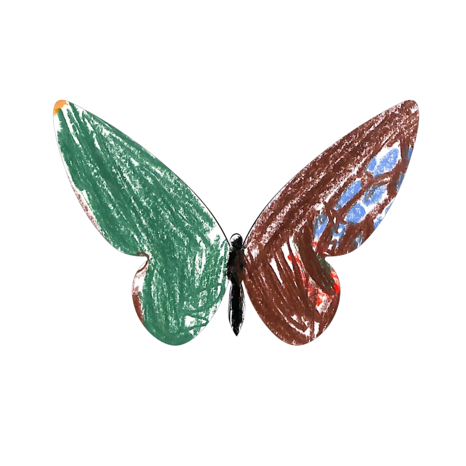 Original Butterfly Image
