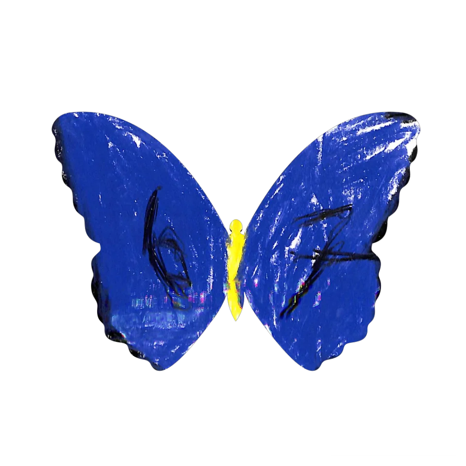 Original Butterfly Image
