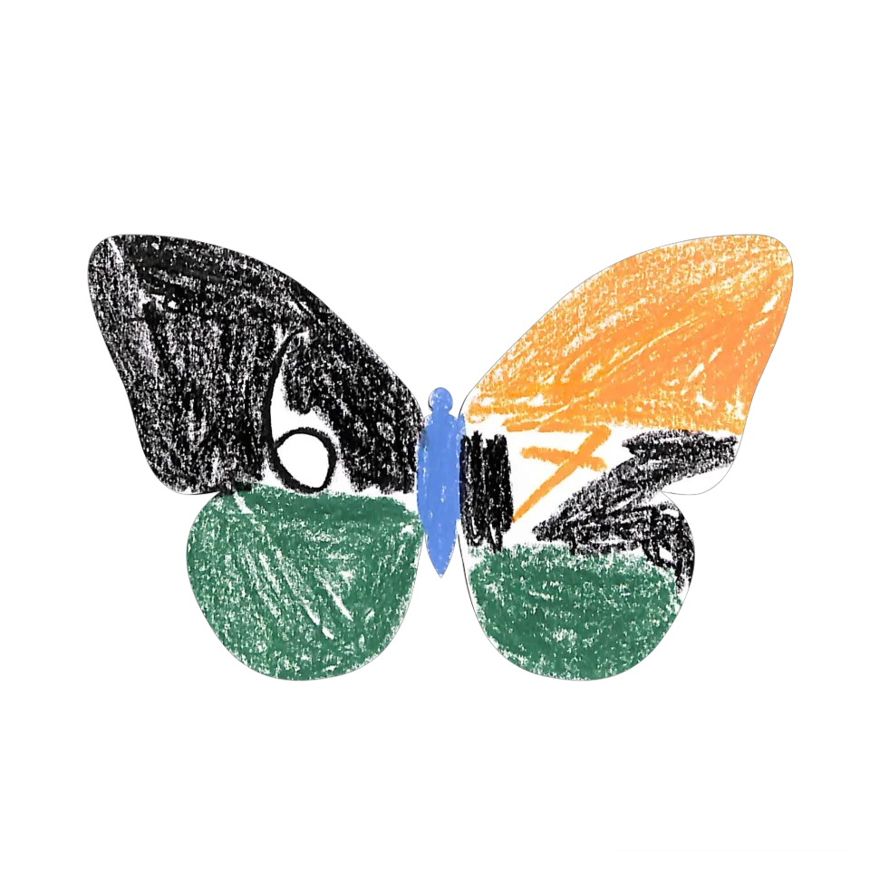 Original Butterfly Image