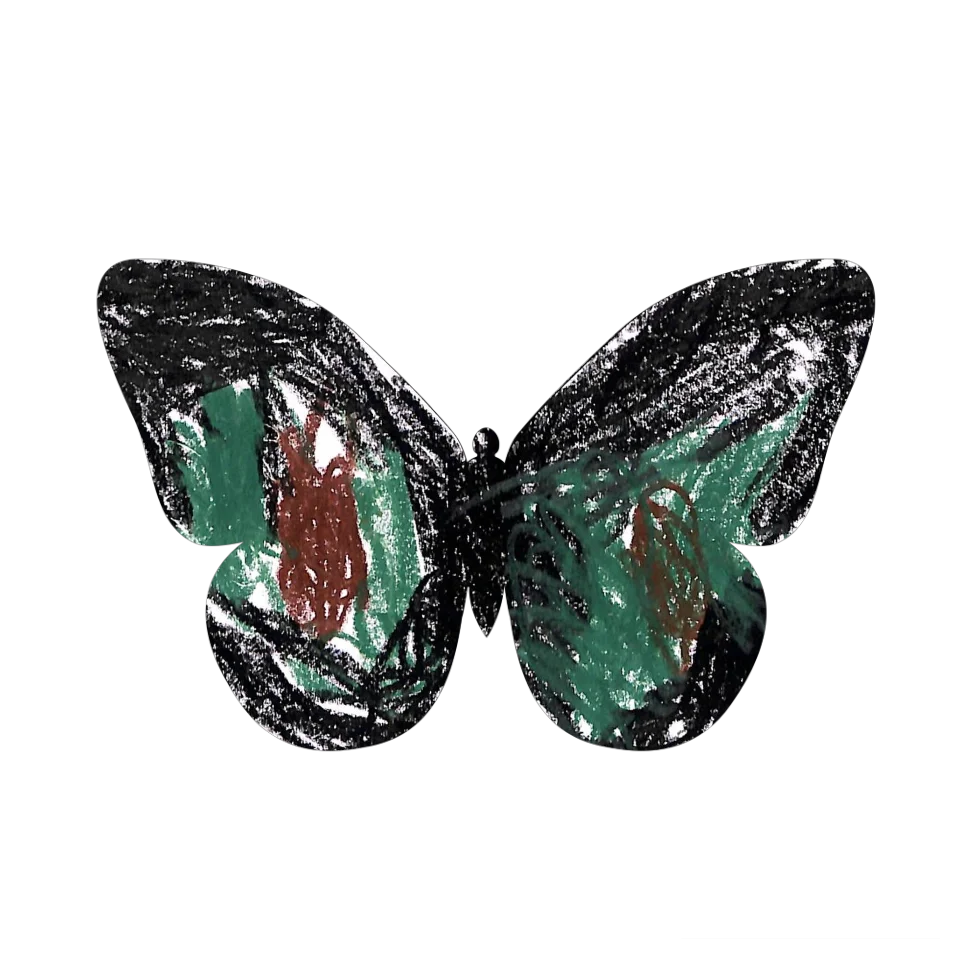 Original Butterfly Image