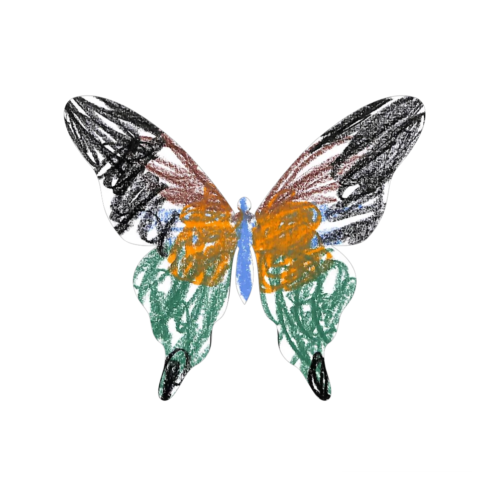 Original Butterfly Image