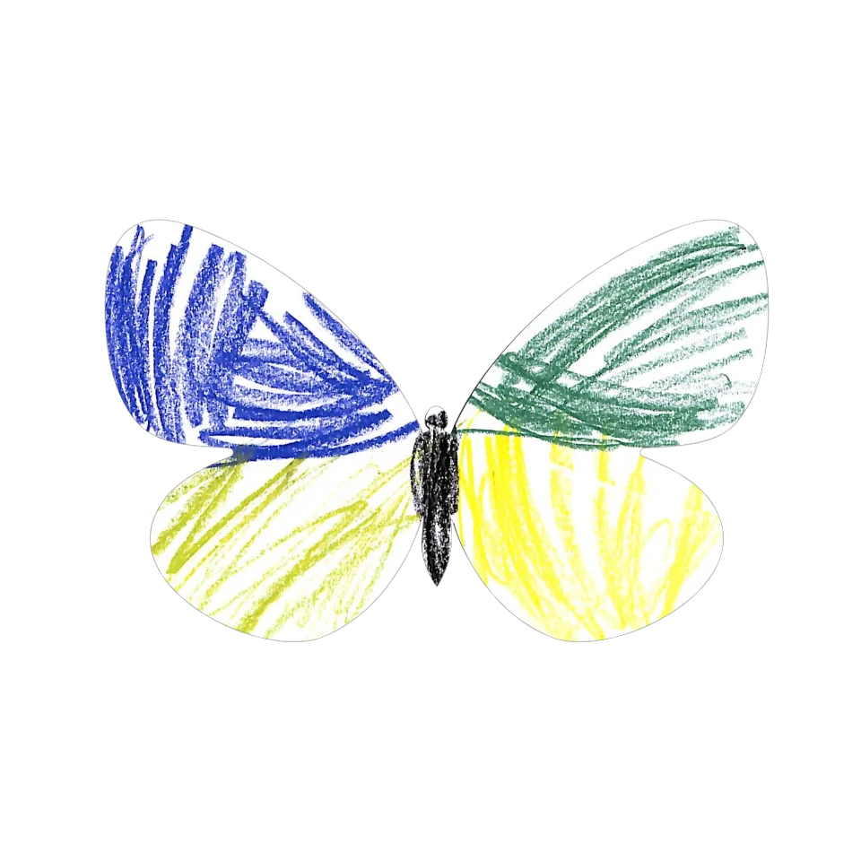 Original Butterfly Image