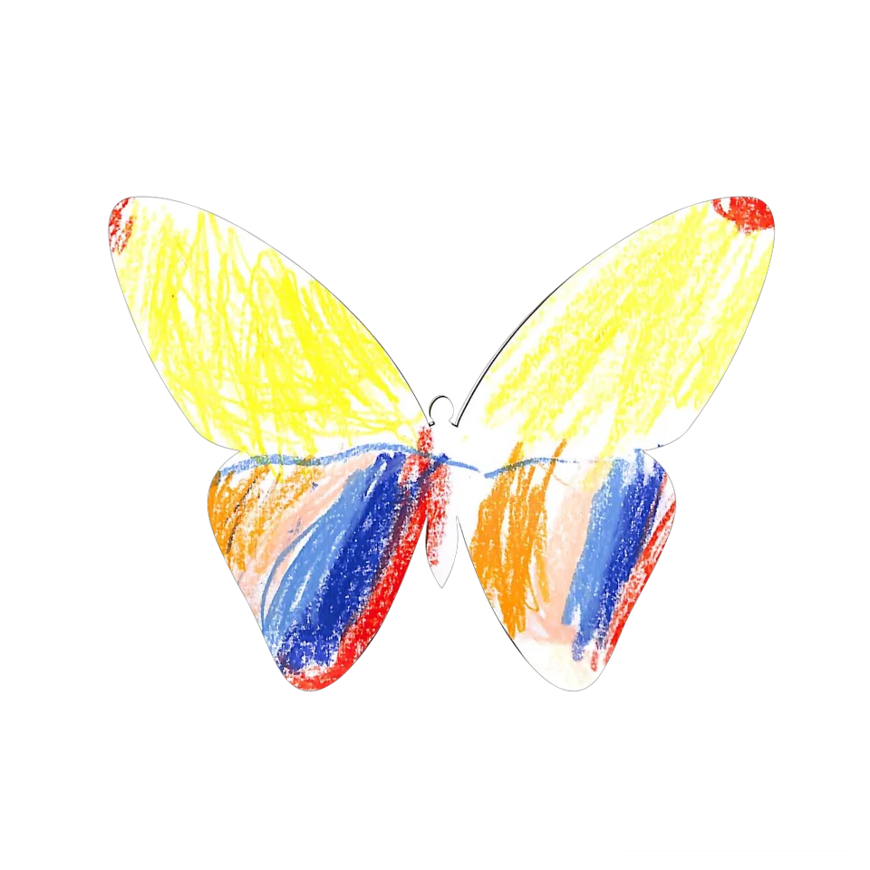 Original Butterfly Image
