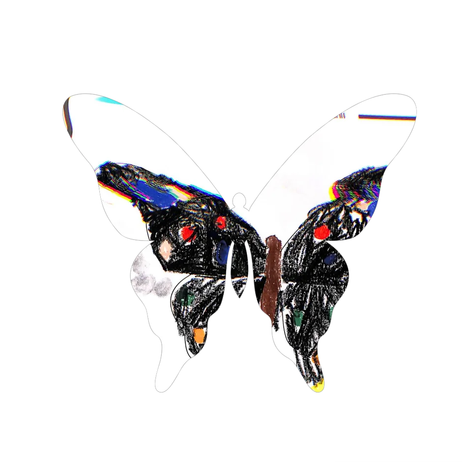 Original Butterfly Image