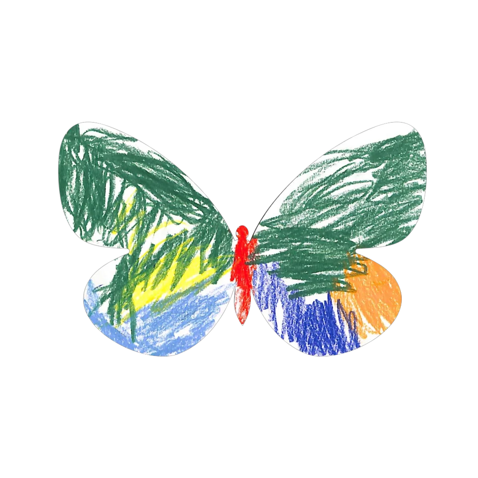 Original Butterfly Image