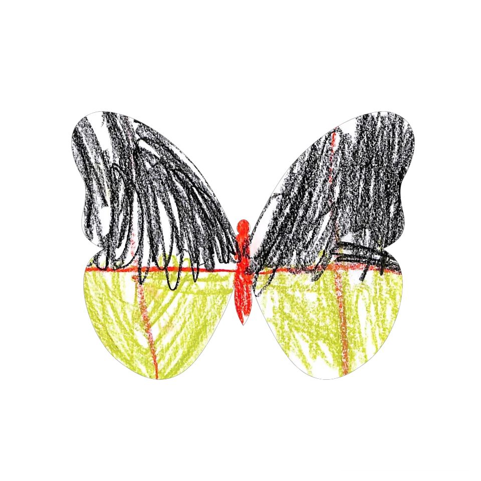 Original Butterfly Image