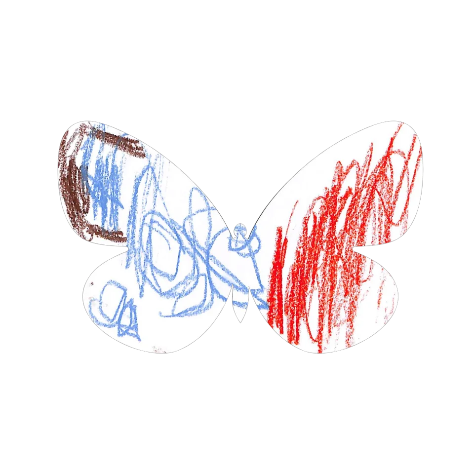Original Butterfly Image