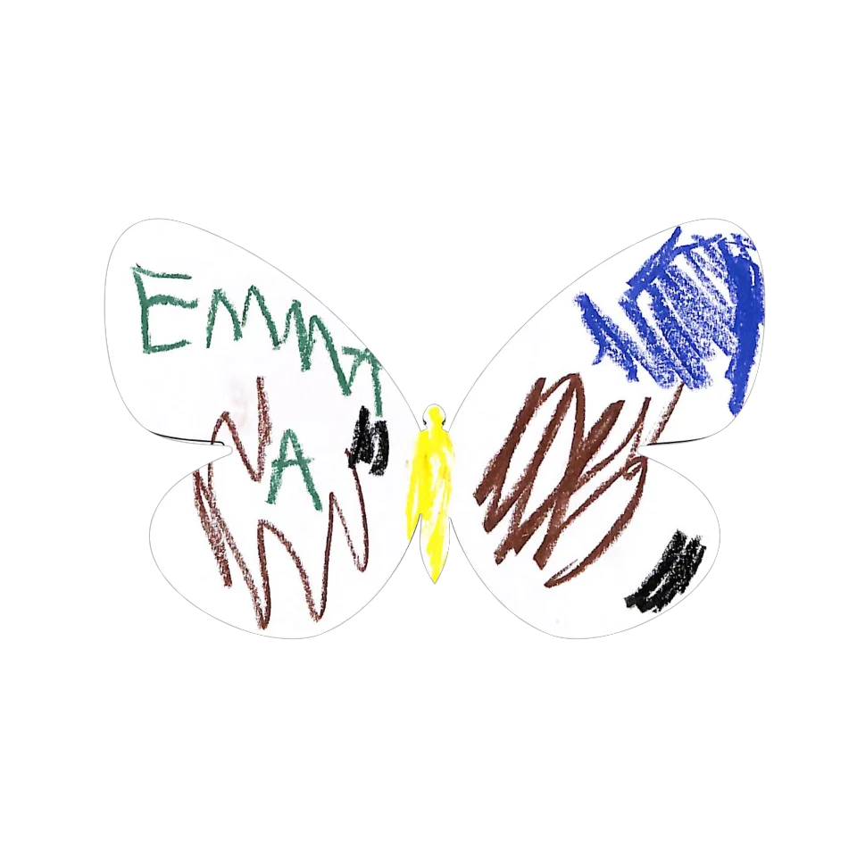 Original Butterfly Image