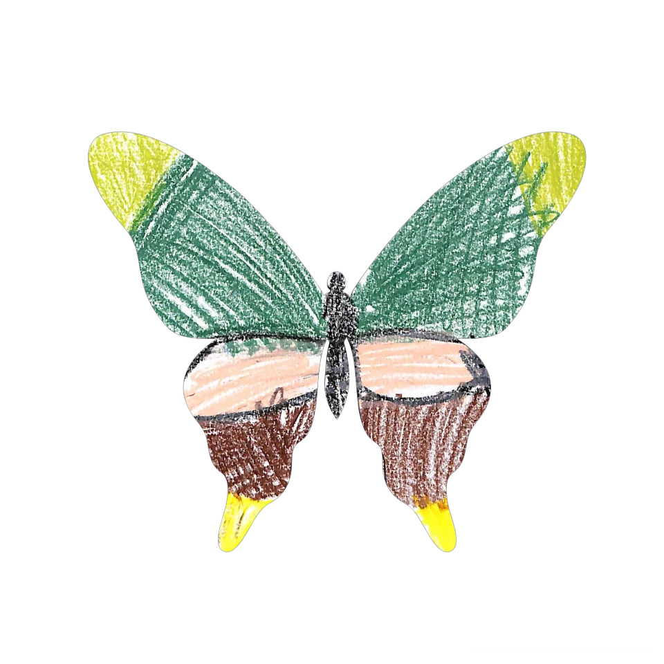 Original Butterfly Image