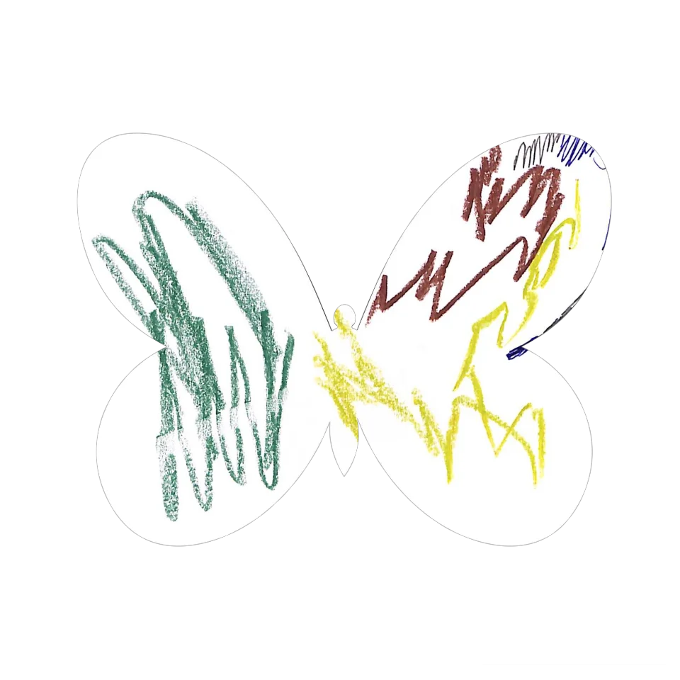 Original Butterfly Image