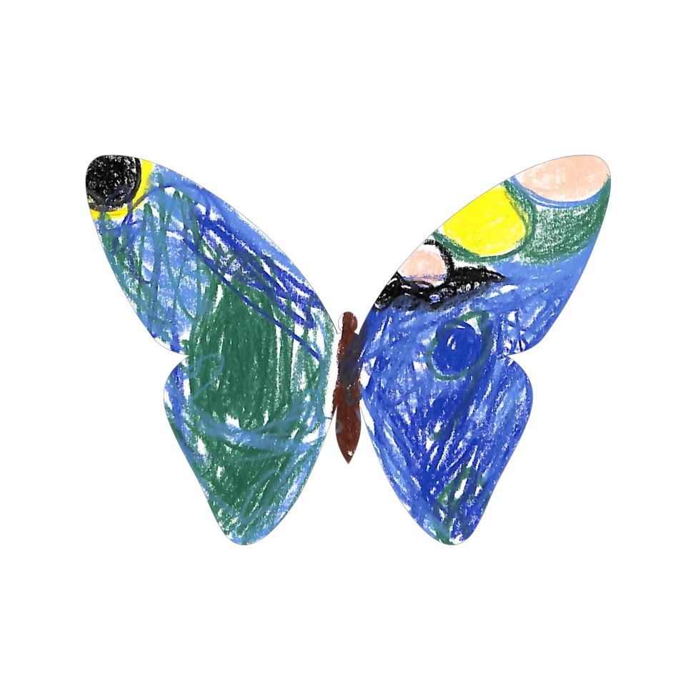 Original Butterfly Image