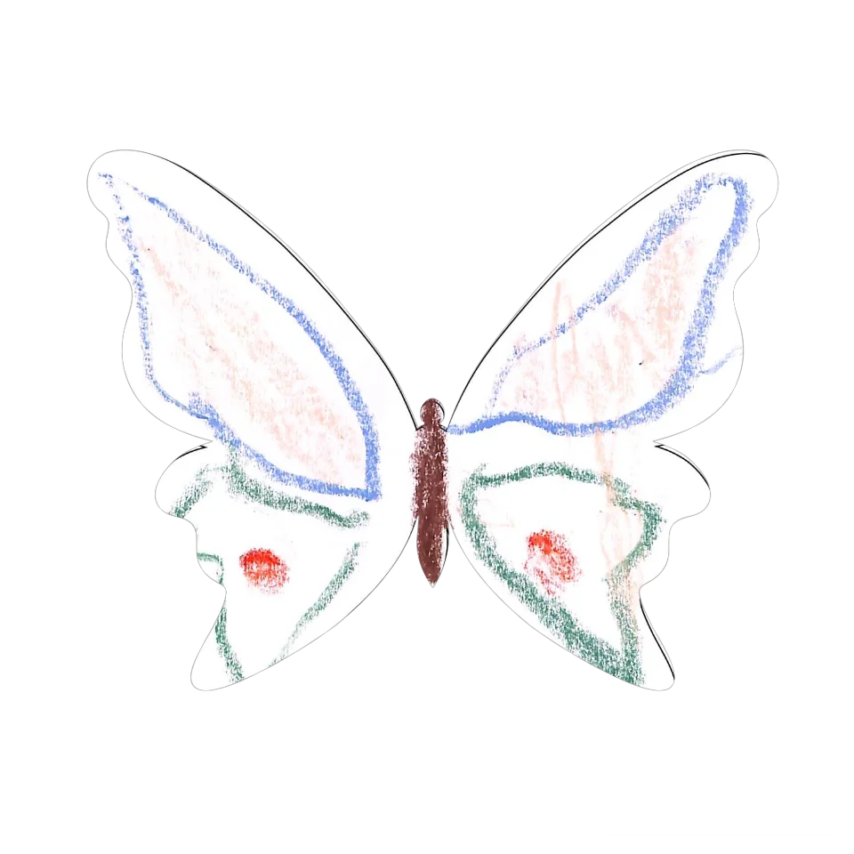 Original Butterfly Image