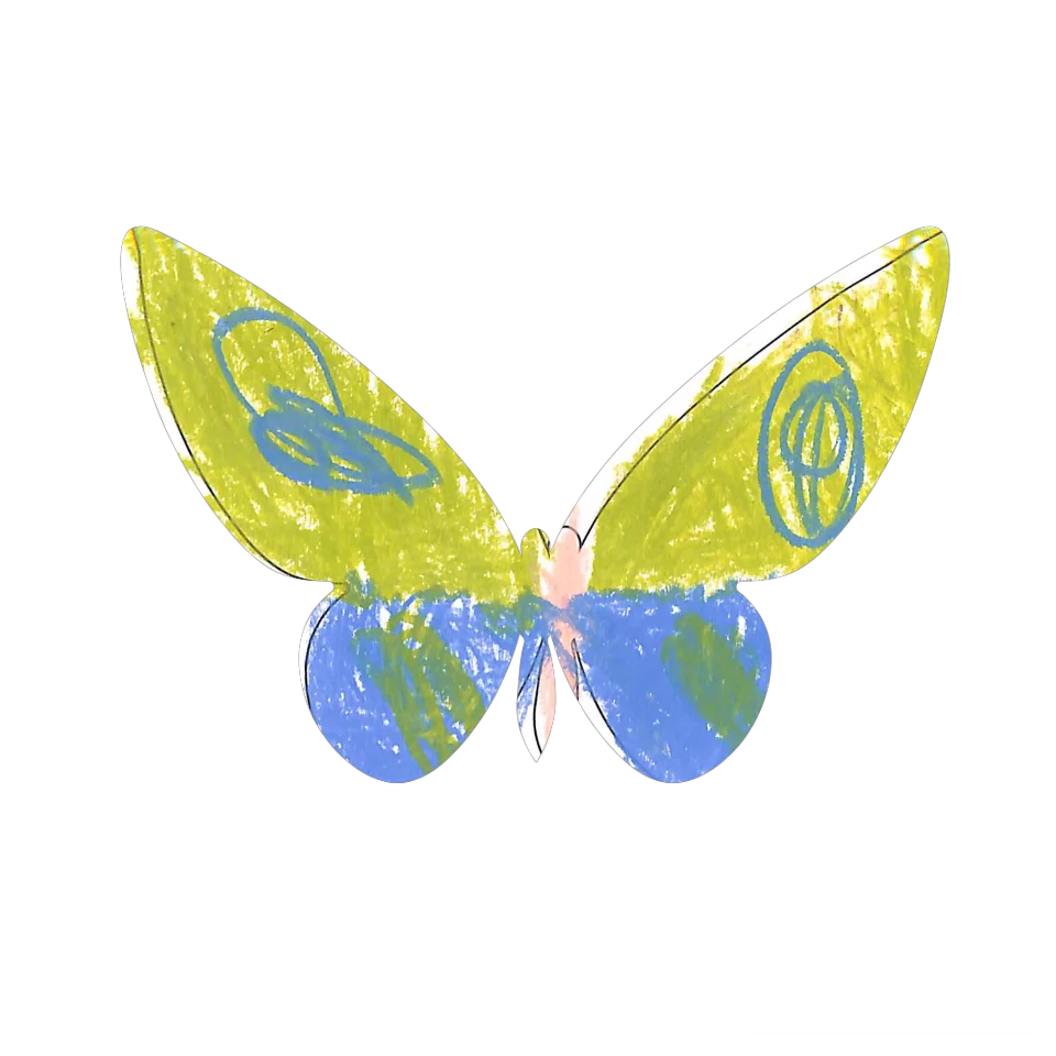Original Butterfly Image