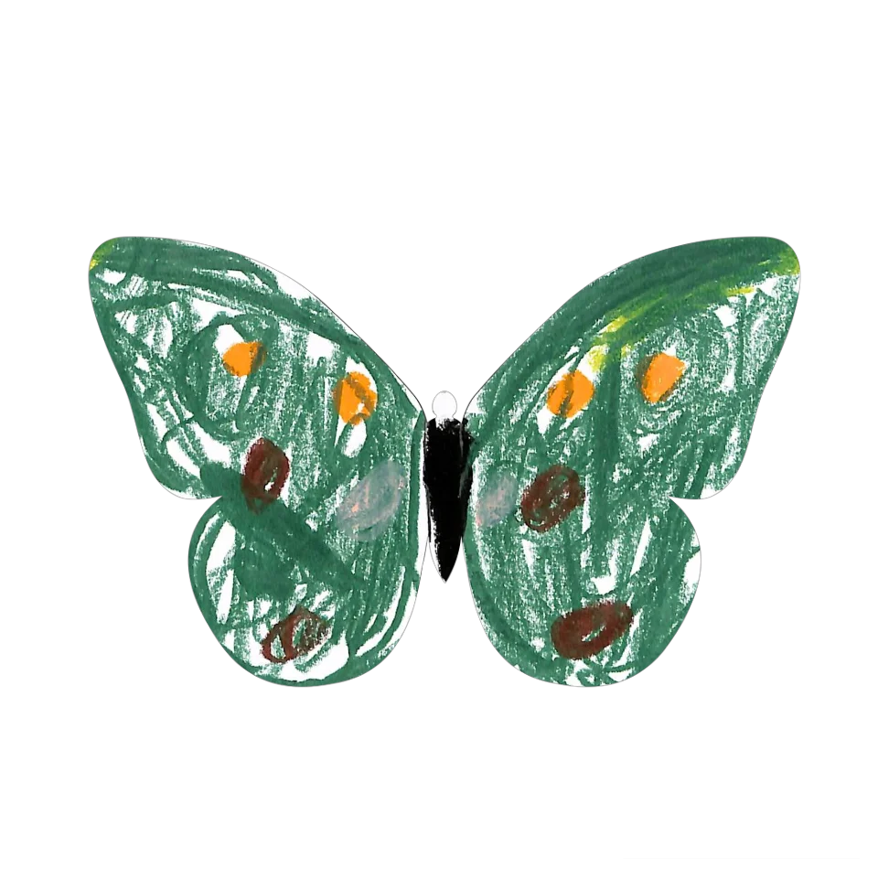 Original Butterfly Image