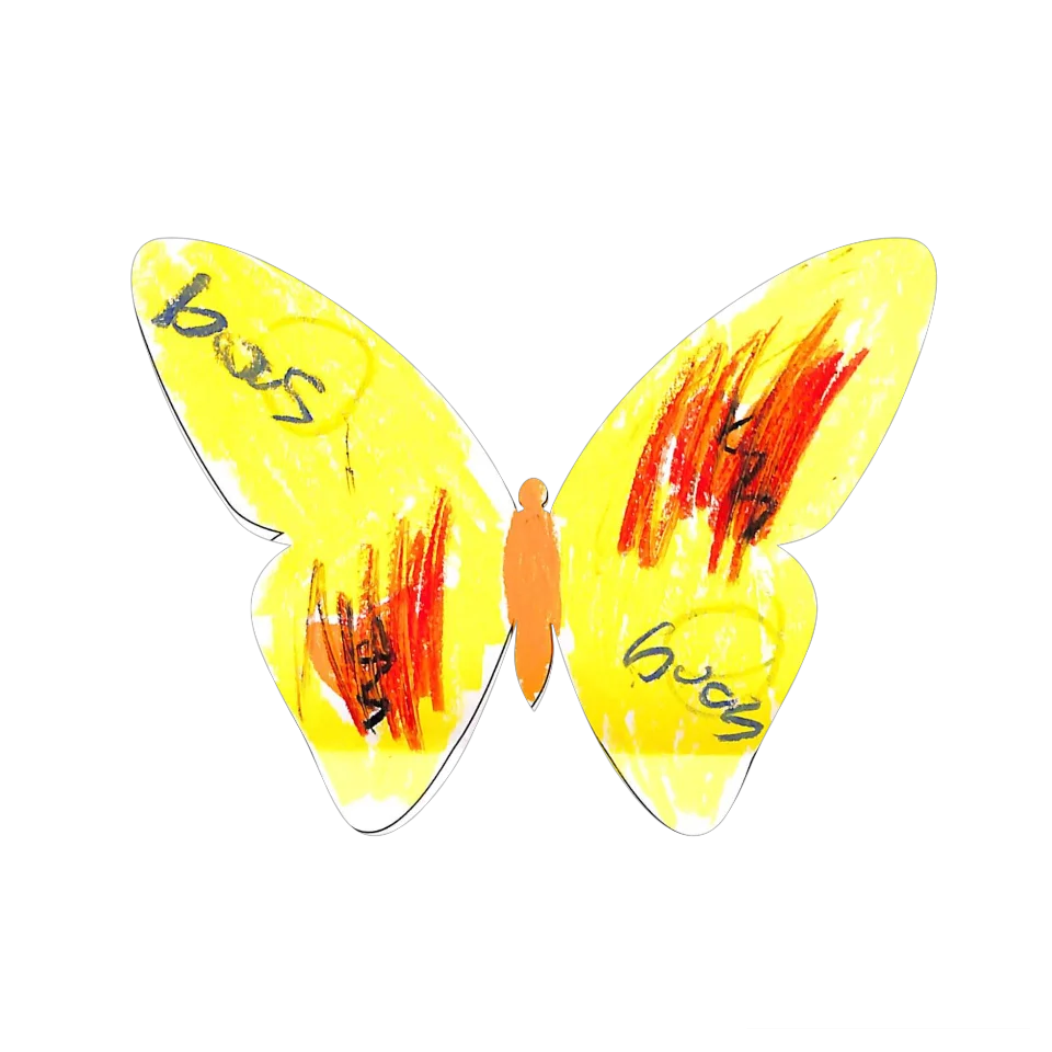 Original Butterfly Image