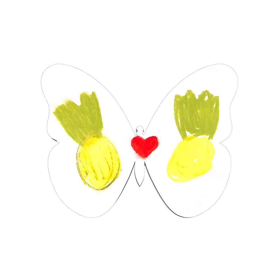 Original Butterfly Image