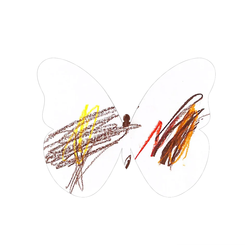 Original Butterfly Image