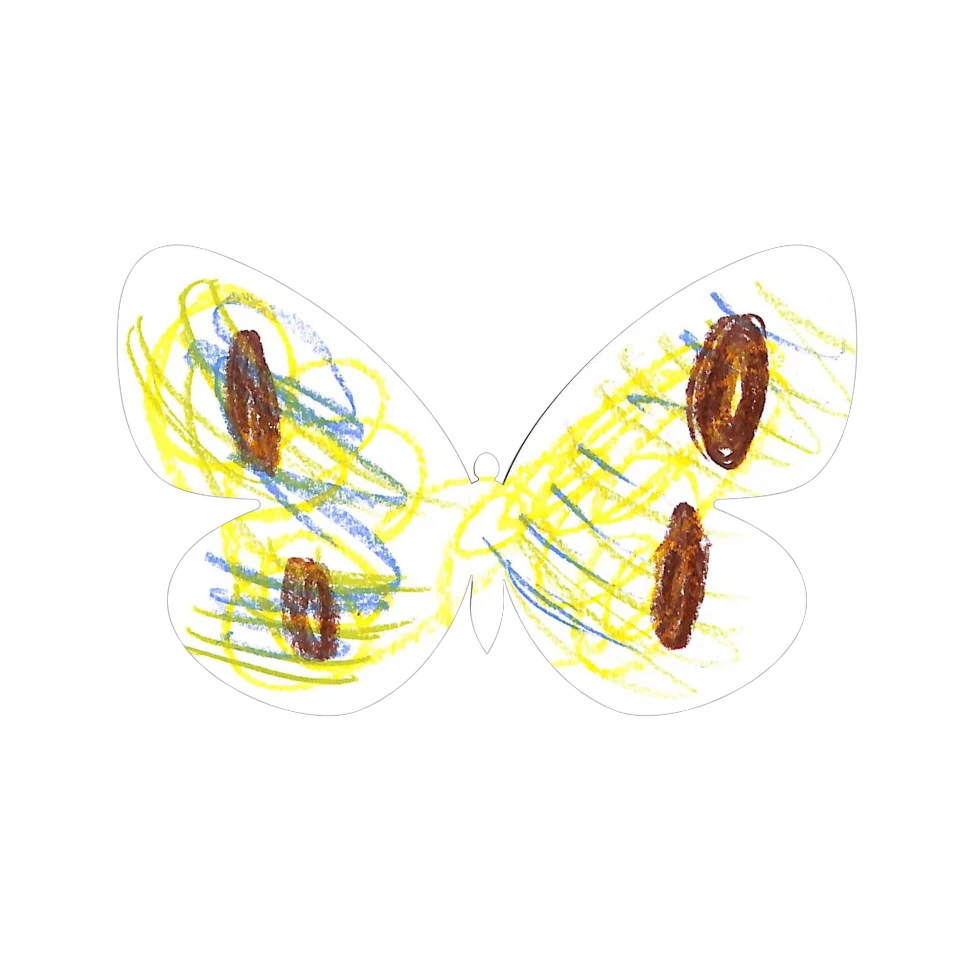 Original Butterfly Image