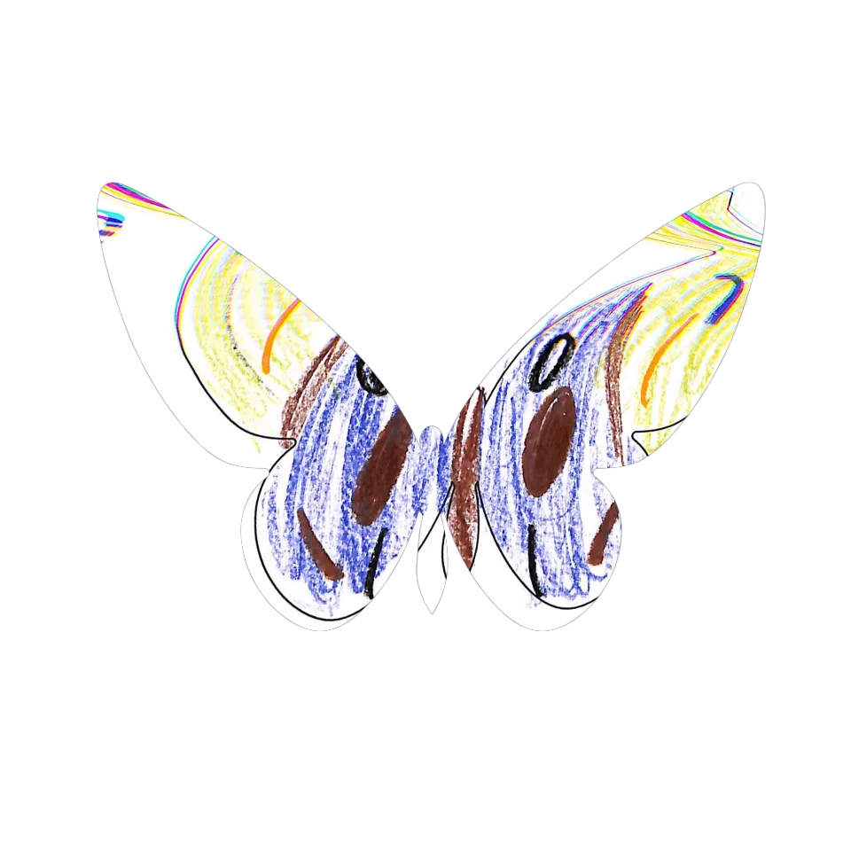 Original Butterfly Image