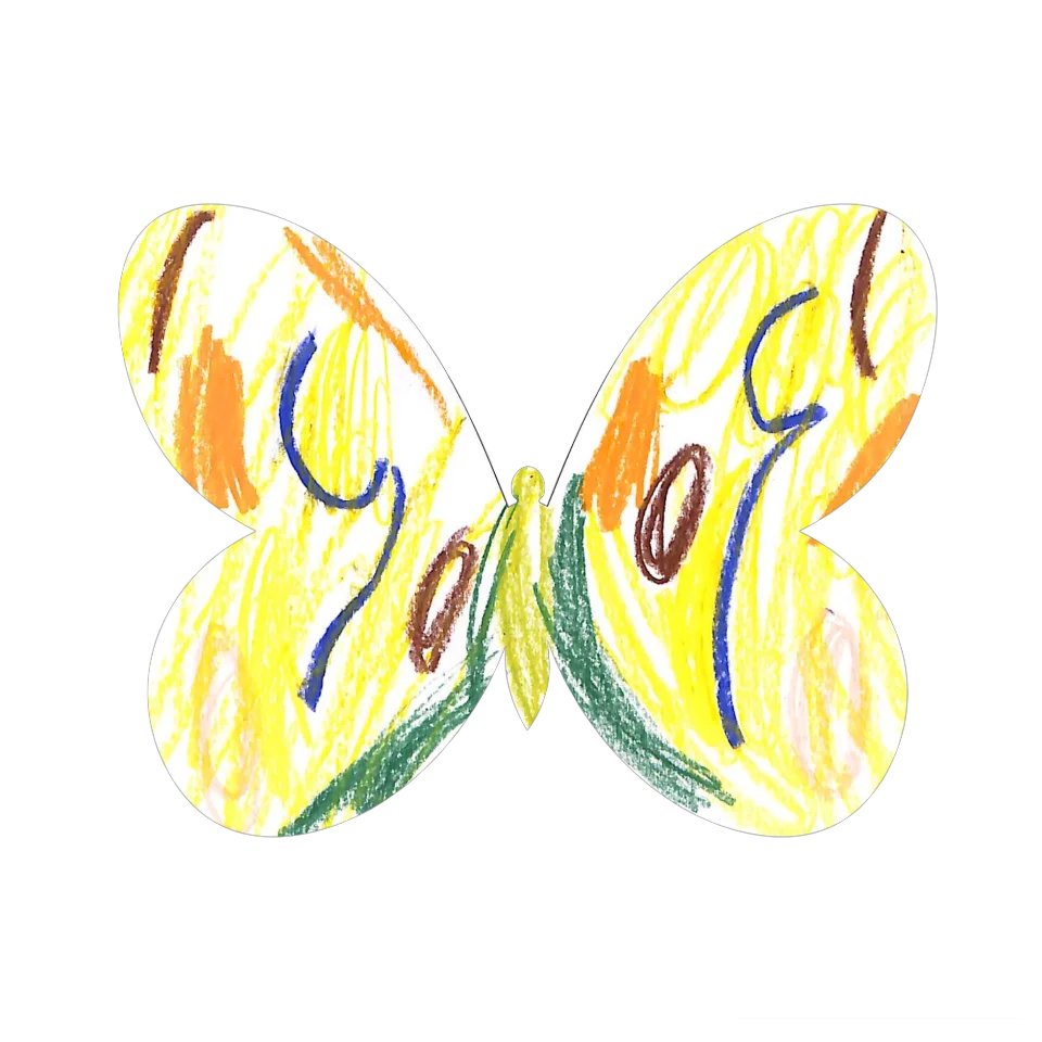 Original Butterfly Image