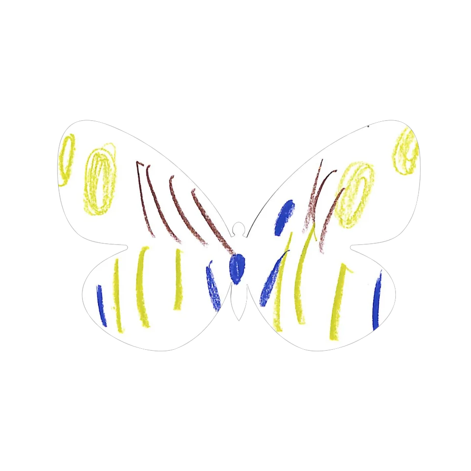 Original Butterfly Image
