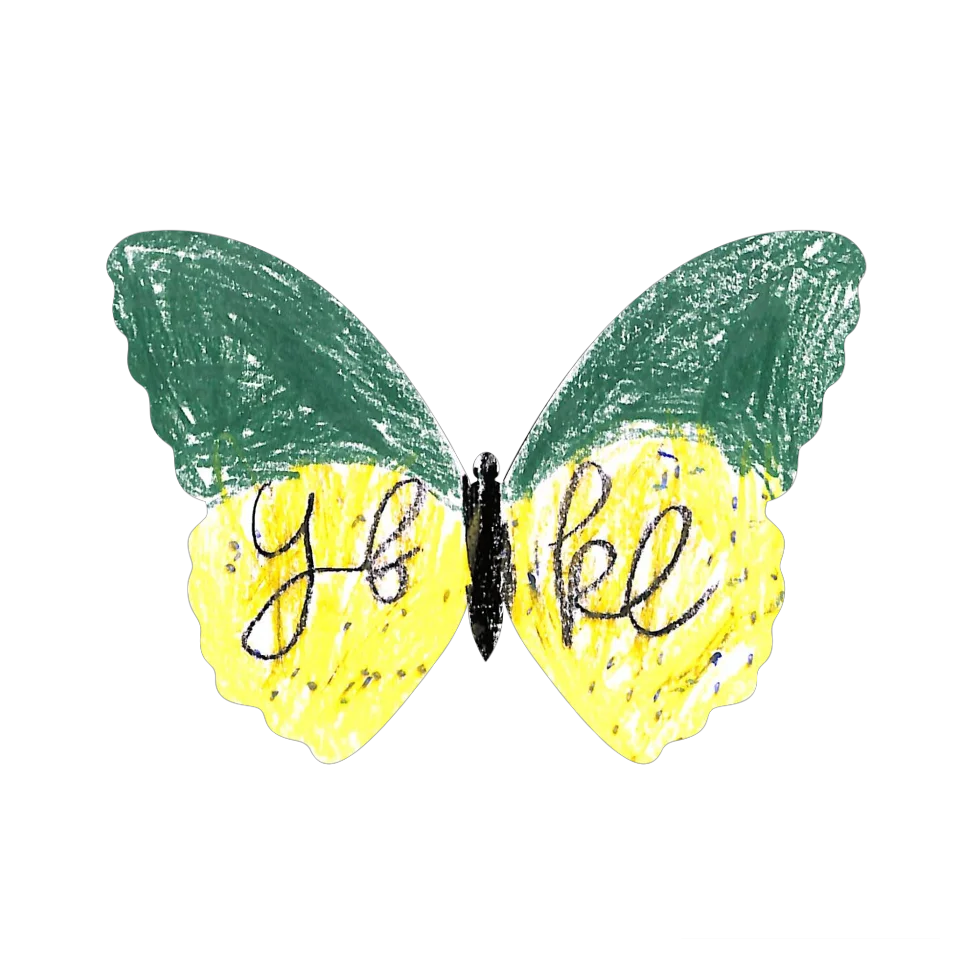 Original Butterfly Image