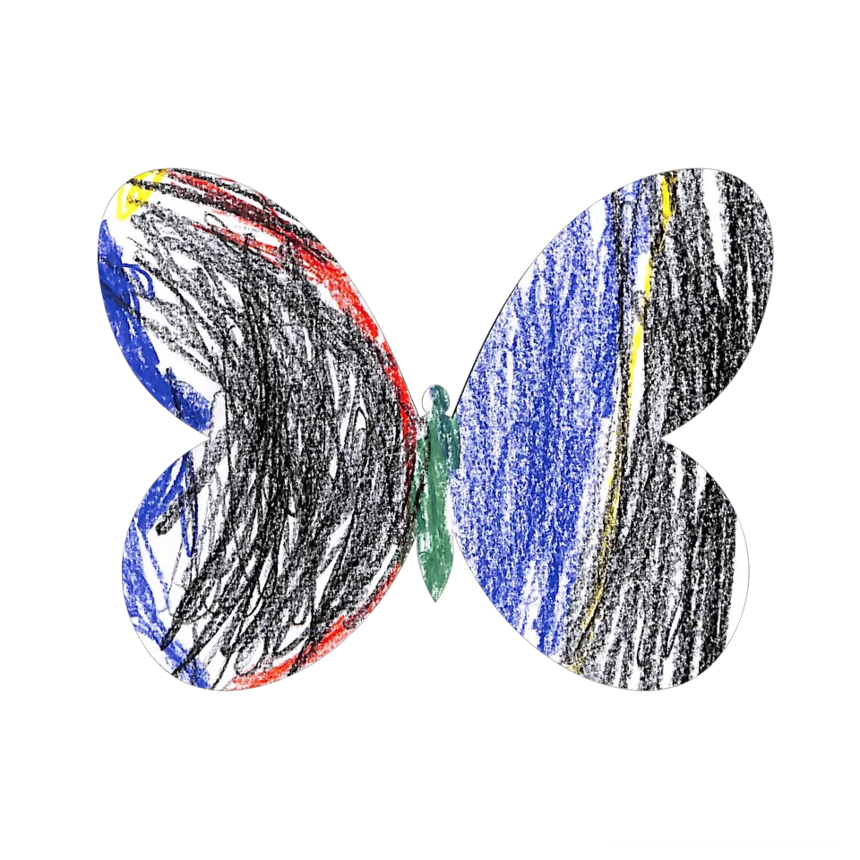 Original Butterfly Image