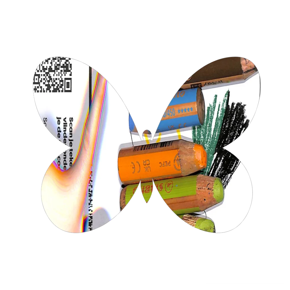 Original Butterfly Image