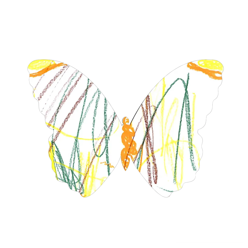 Original Butterfly Image