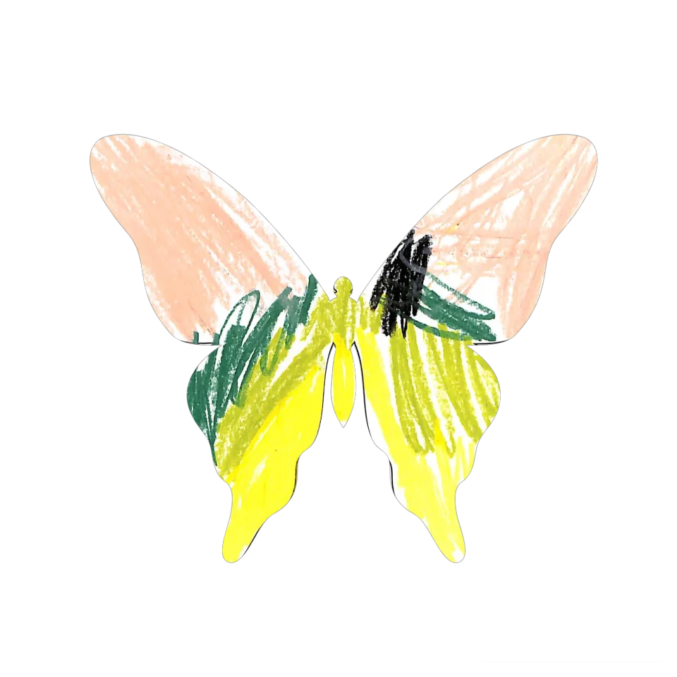 Original Butterfly Image